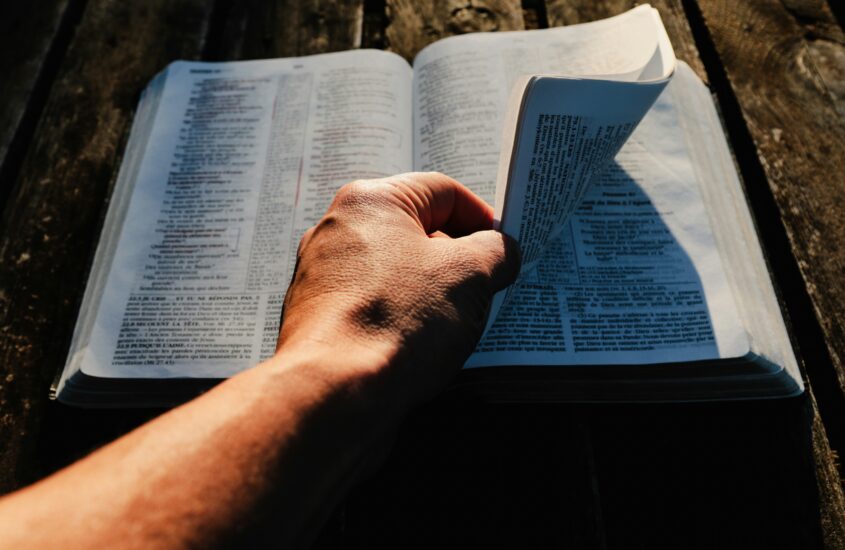 Digging Into the Book of James: A Practical Bible Study for Groups or Individuals