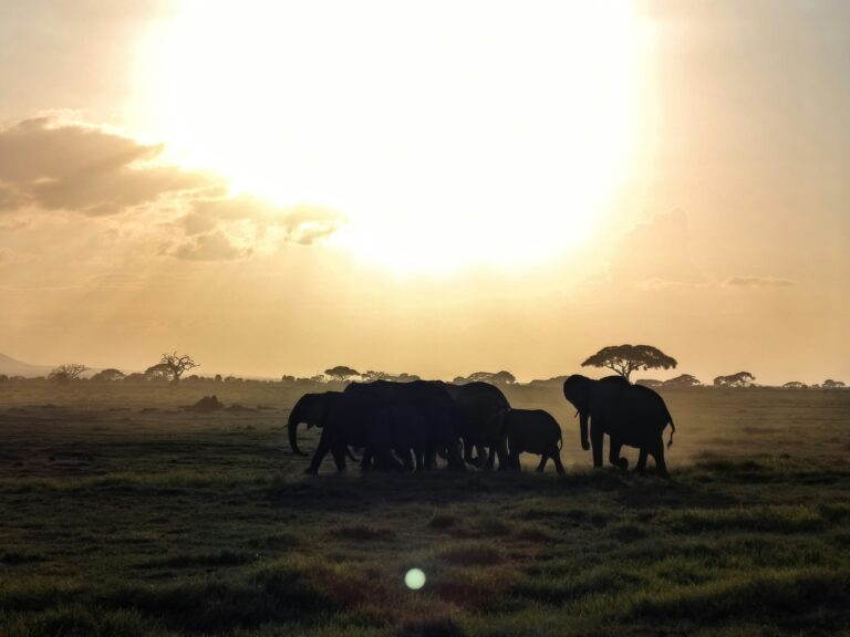 Why We Need Each Other’s Prayers